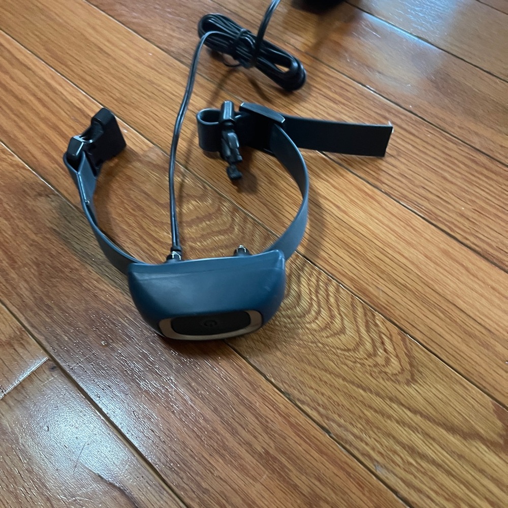 PetSafe Black and Blue Dog Collar Leash Harness